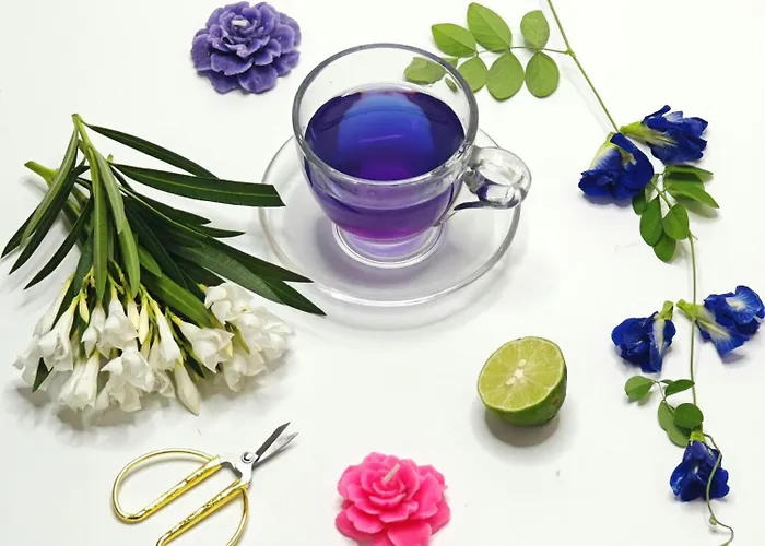 Apartment Whirlpool-suite Amadeus - Weitblick - Golf & Wellness - Direkter Bademantelgang - Adults Only *